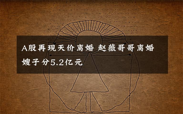 A股再现天价离婚 赵薇哥哥离婚嫂子分5.2亿元