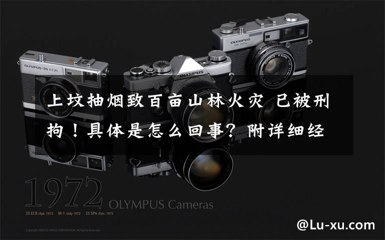 上坟抽烟致百亩山林火灾 已被刑拘!具体是怎么回事?附详细经过!
