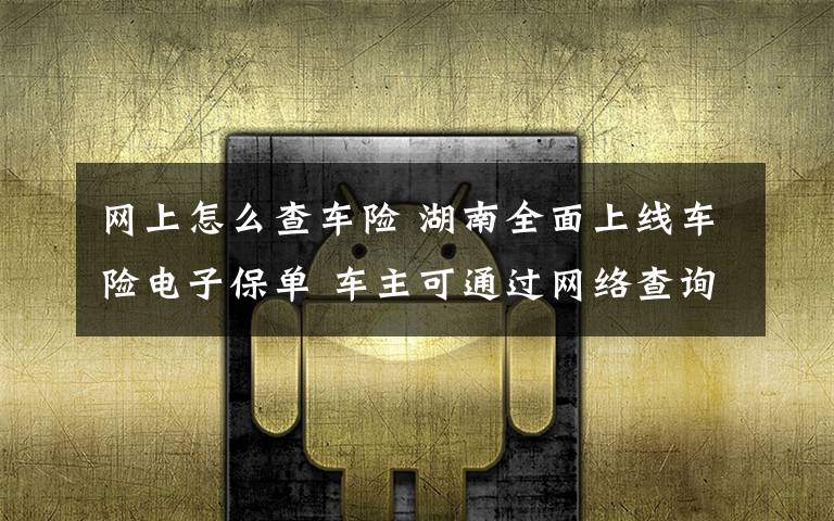 网上怎么查车险 湖南全面上线车险电子保单 车主可通过网络查询