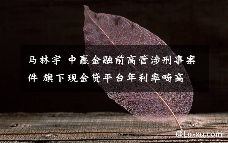 马林宇 中赢金融前高管涉刑事案件 旗下现金贷平台年利率畸高