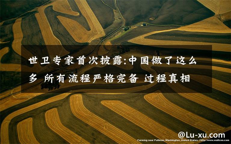 世卫专家首次披露:中国做了这么多 所有流程严格完备 过程真相详细揭秘!