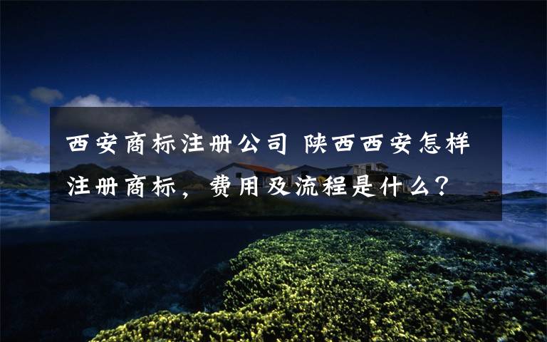 西安商标注册公司 陕西西安怎样注册商标,费用及流程是什么?