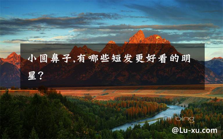 小圆鼻子,有哪些短发更好看的明星?