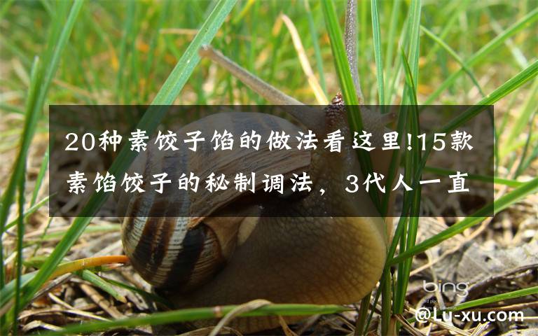 20种素饺子馅的做法看这里!15款素馅饺子的秘制调法,3代人一直用,又香又好吃,不怕肉涨钱