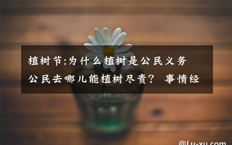 植树节:为什么植树是公民义务 公民去哪儿能植树尽责? 事情经过真相揭秘!