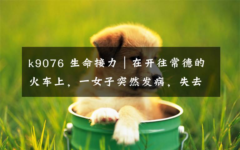 k9076 生命接力|在开往常德的火车上,一女子突然发病,失去意识……