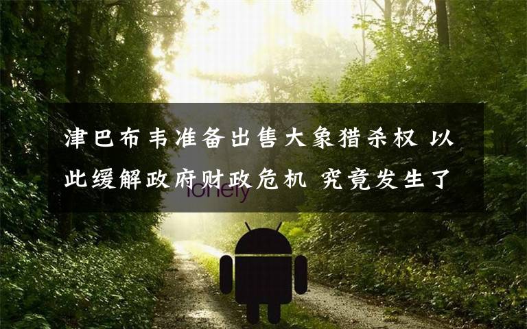 津巴布韦准备出售大象猎杀权 以此缓解政府财政危机 究竟发生了什么?