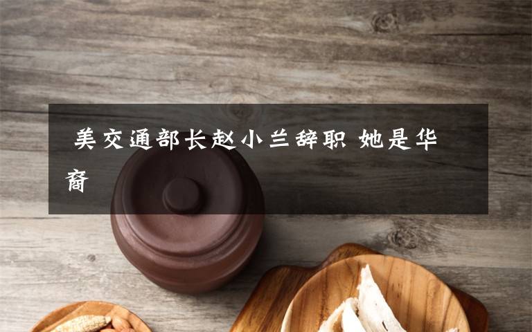 美交通部长赵小兰辞职 她是华裔