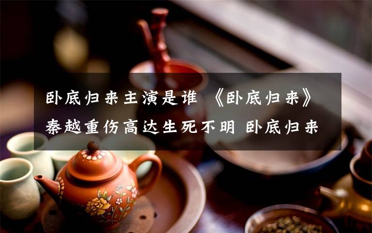 卧底归来主演是谁 《卧底归来》秦越重伤高达生死不明 卧底归来大结局及剧情介绍