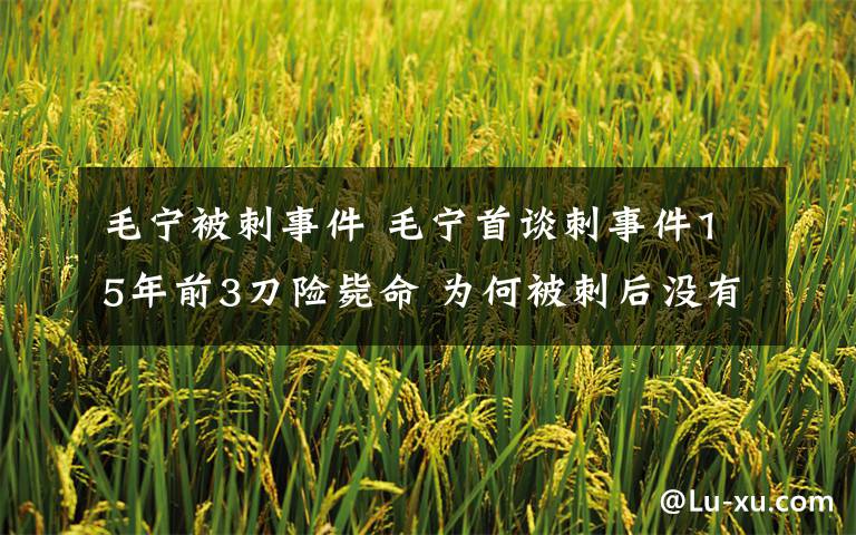 毛宁被刺事件 毛宁首谈刺事件15年前3刀险毙命 为何被刺后没有向警方报案?
