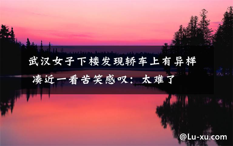 武汉女子下楼发现轿车上有异样 凑近一看苦笑感叹:太难了