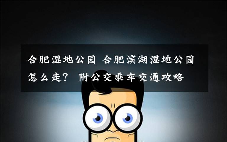 合肥湿地公园 合肥滨湖湿地公园怎么走? 附公交乘车交通攻略