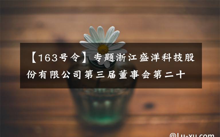 【163号令】专题浙江盛洋科技股份有限公司第三届董事会第二十七次会议决议公告