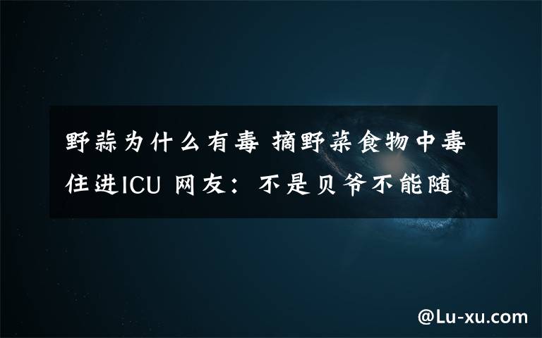 野蒜为什么有毒 摘野菜食物中毒住进ICU 网友:不是贝爷不能随便吃