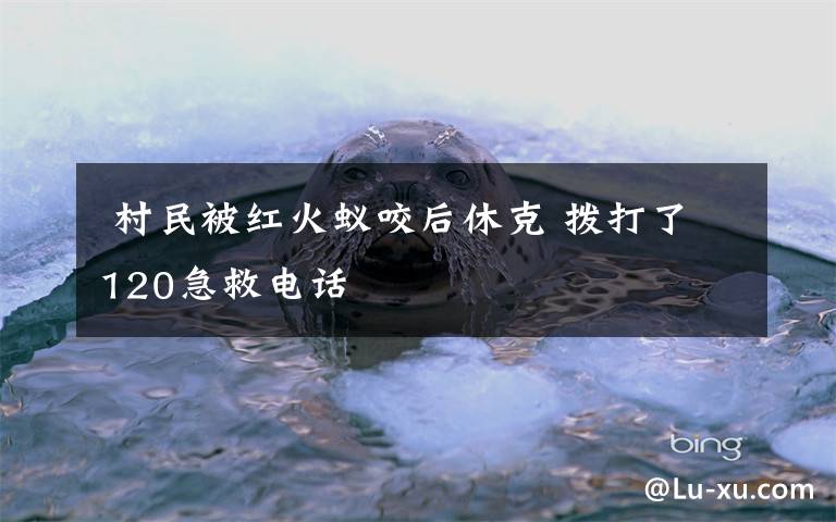  村民被红火蚁咬后休克 拨打了120急救电话
