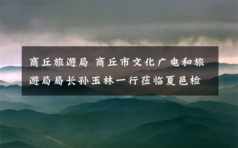 商丘旅游局 商丘市文化广电和旅游局局长孙玉林一行莅临夏邑检查安全生产工作