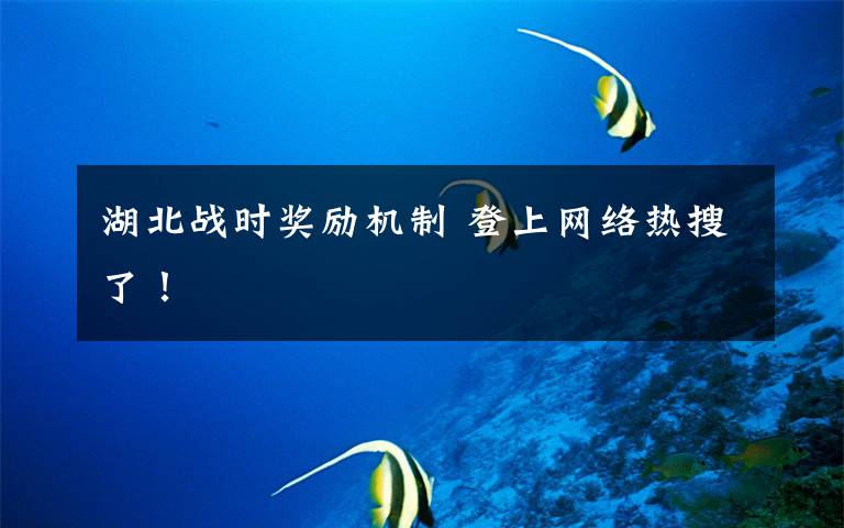 湖北战时奖励机制 登上网络热搜了!