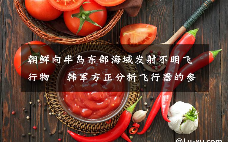 朝鲜向半岛东部海域发射不明飞行物  韩军方正分析飞行器的参数和射程 还原事发经过及背后原因!