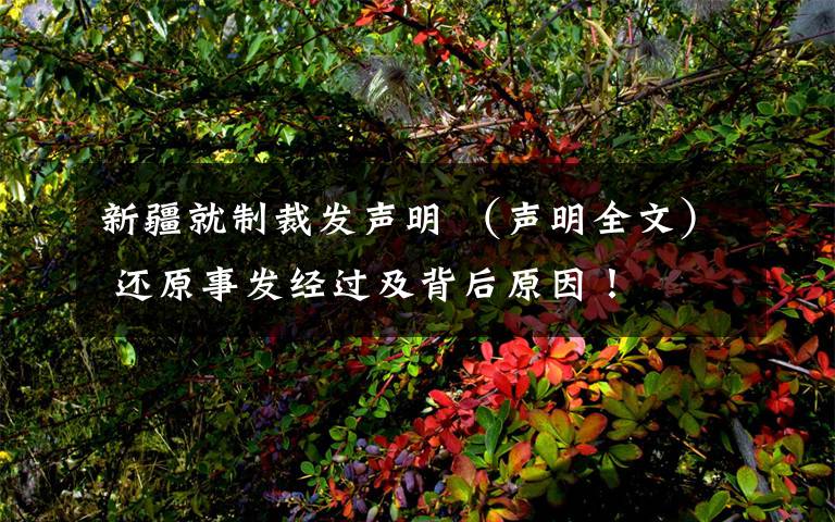 新疆就制裁发声明 (声明全文) 还原事发经过及背后原因!