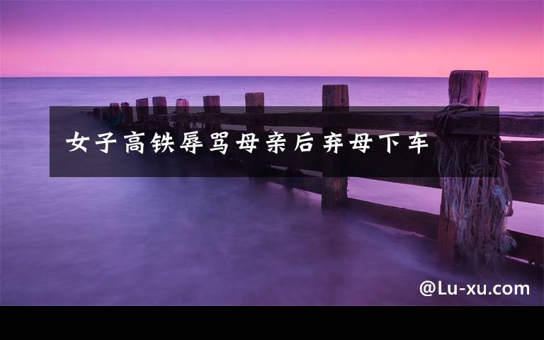 女子高铁辱骂母亲后弃母下车