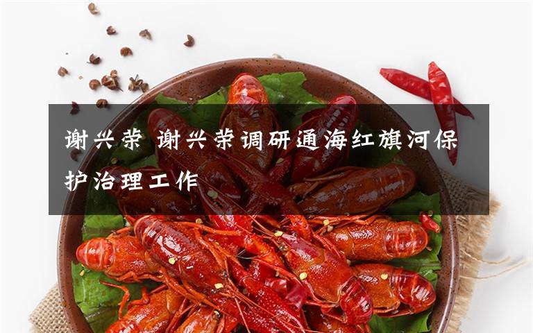 谢兴荣 谢兴荣调研通海红旗河保护治理工作