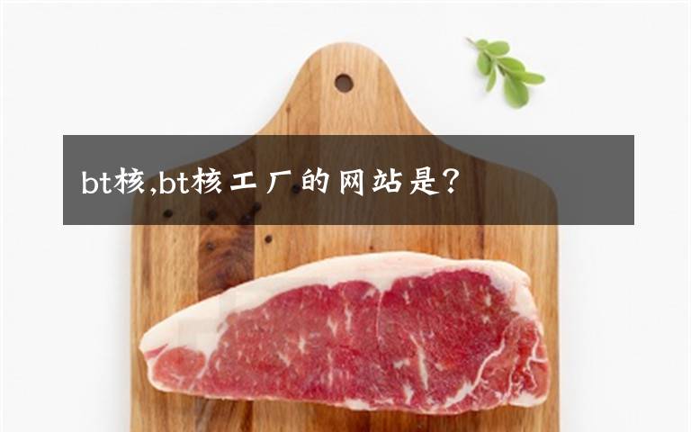 bt核,bt核工厂的网站是?