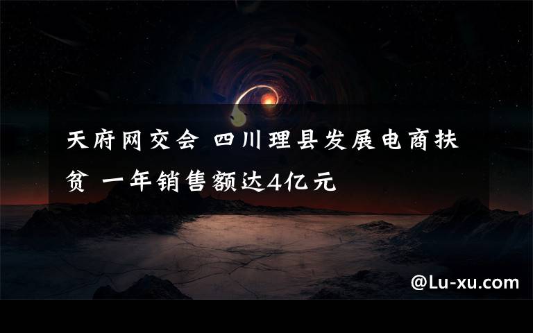 天府网交会 四川理县发展电商扶贫 一年销售额达4亿元