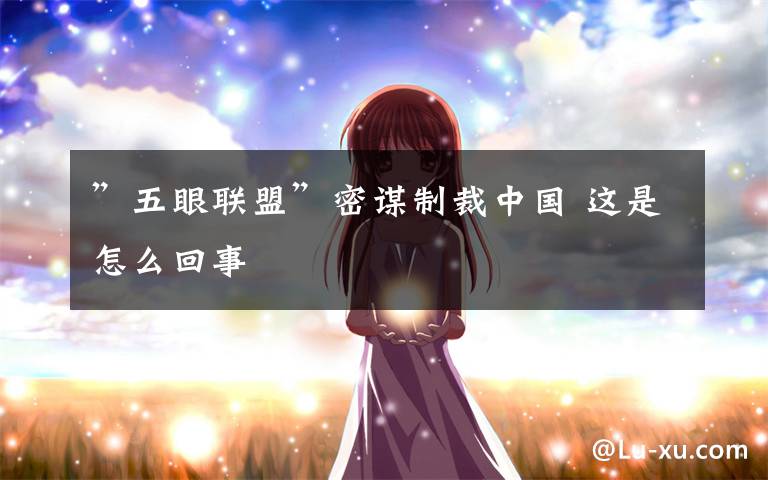 ”五眼联盟”密谋制裁中国 这是怎么回事