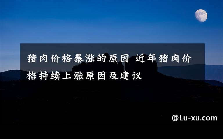 猪肉价格暴涨的原因 近年猪肉价格持续上涨原因及建议