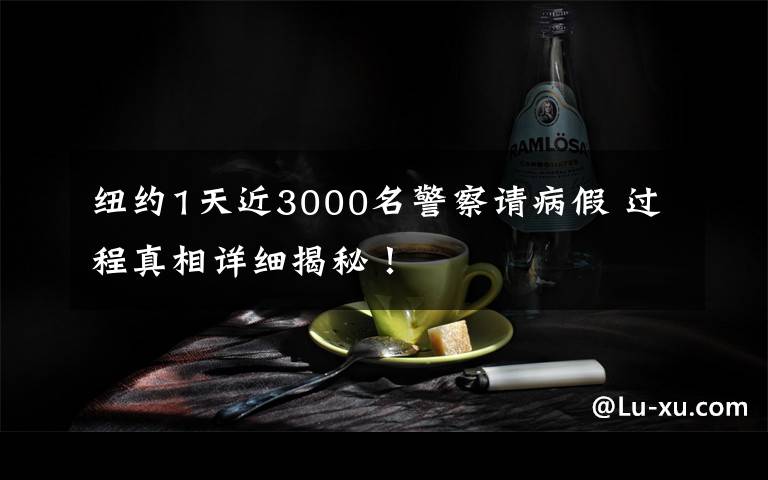 纽约1天近3000名警察请病假 过程真相详细揭秘！