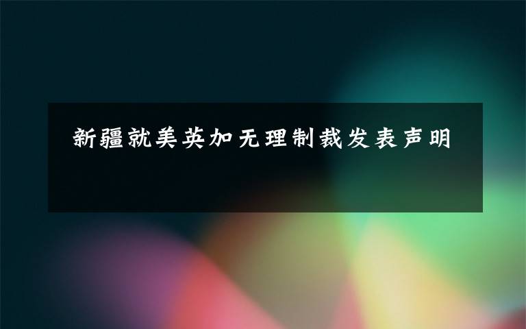  新疆就美英加无理制裁发表声明