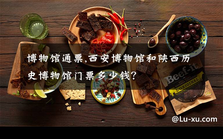 博物馆通票,西安博物馆和陕西历史博物馆门票多少钱？