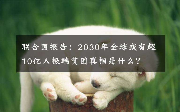 联合国报告：2030年全球或有超10亿人极端贫困真相是什么？