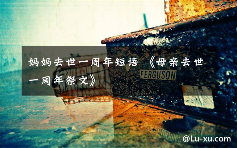 妈妈去世一周年短语 《母亲去世一周年祭文》