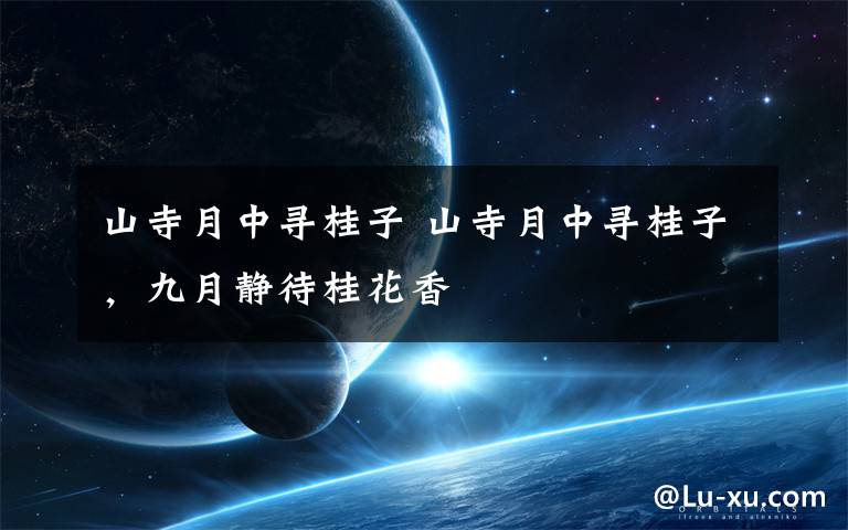 山寺月中寻桂子 山寺月中寻桂子,九月静待桂花香