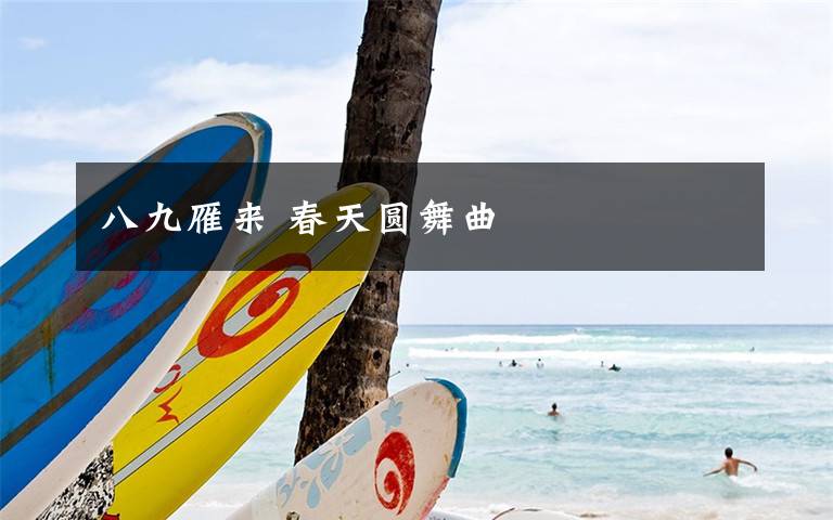 八九雁来 春天圆舞曲