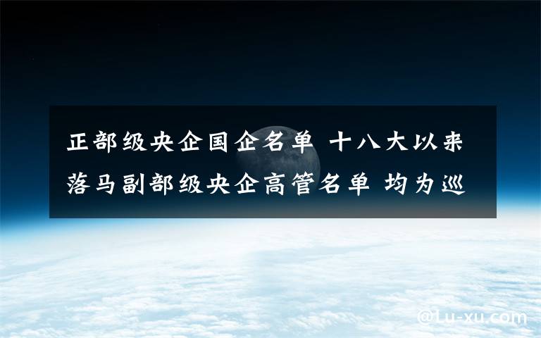 正部级央企国企名单 十八大以来落马副部级央企高管名单 均为巡视过后落马