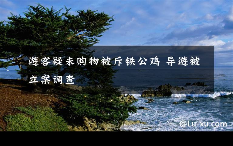 游客疑未购物被斥铁公鸡 导游被立案调查