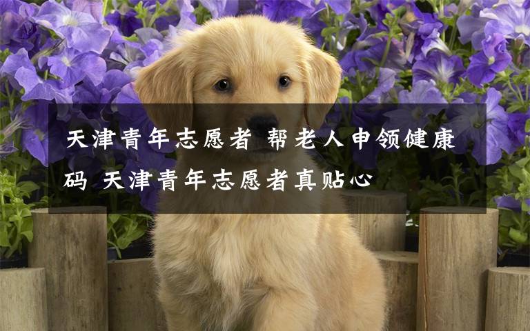 天津青年志愿者 帮老人申领健康码 天津青年志愿者真贴心