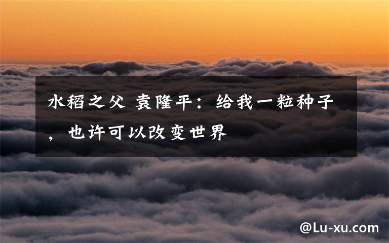 水稻之父 袁隆平：给我一粒种子，也许可以改变世界