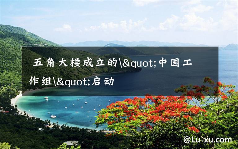 五角大楼成立的"中国工作组"启动