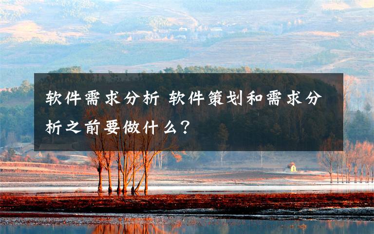 软件需求分析 软件策划和需求分析之前要做什么？