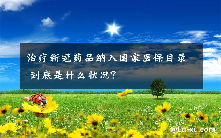 治疗新冠药品纳入国家医保目录 到底是什么状况?