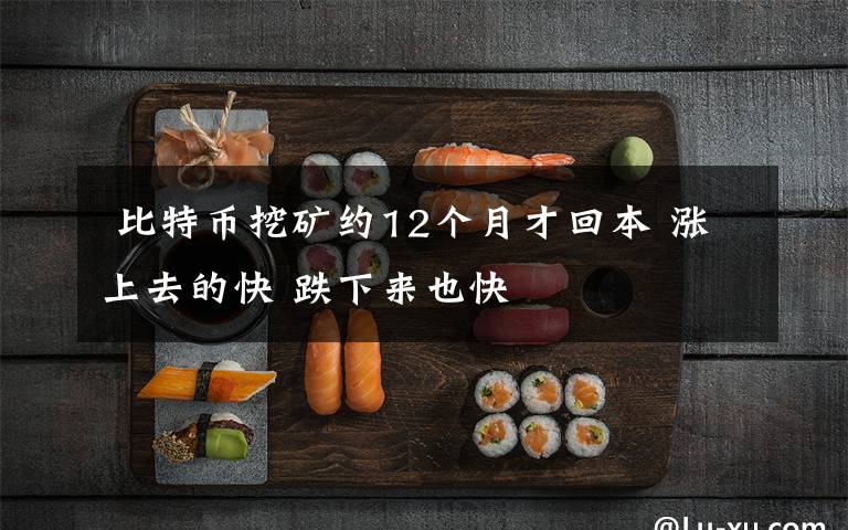  比特币挖矿约12个月才回本 涨上去的快 跌下来也快
