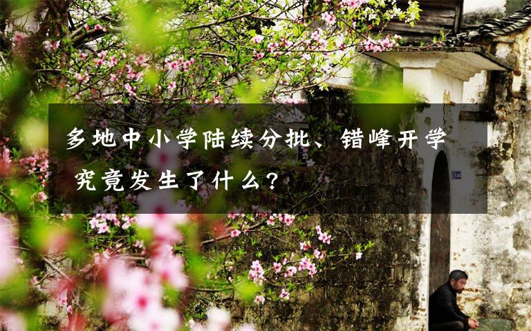 多地中小学陆续分批、错峰开学 究竟发生了什么?