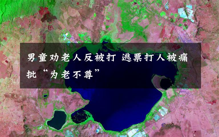 男童劝老人反被打 逃票打人被痛批“为老不尊”