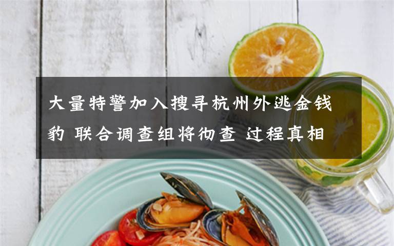 大量特警加入搜寻杭州外逃金钱豹 联合调查组将彻查 过程真相详细揭秘!