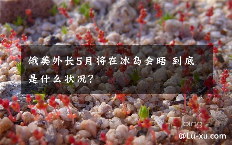 俄美外长5月将在冰岛会晤 到底是什么状况?