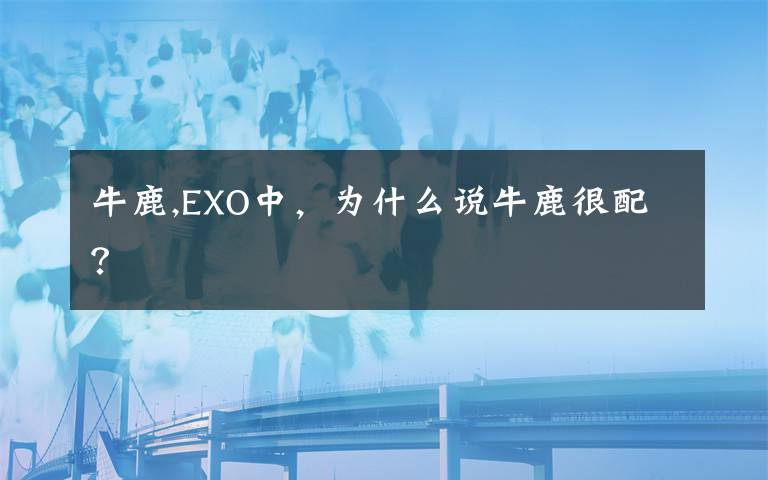 牛鹿,EXO中,为什么说牛鹿很配?