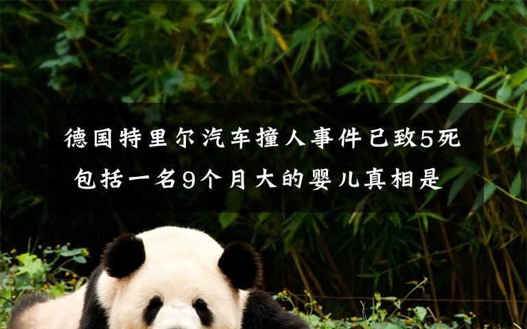 德国特里尔汽车撞人事件已致5死 包括一名9个月大的婴儿真相是什么?
